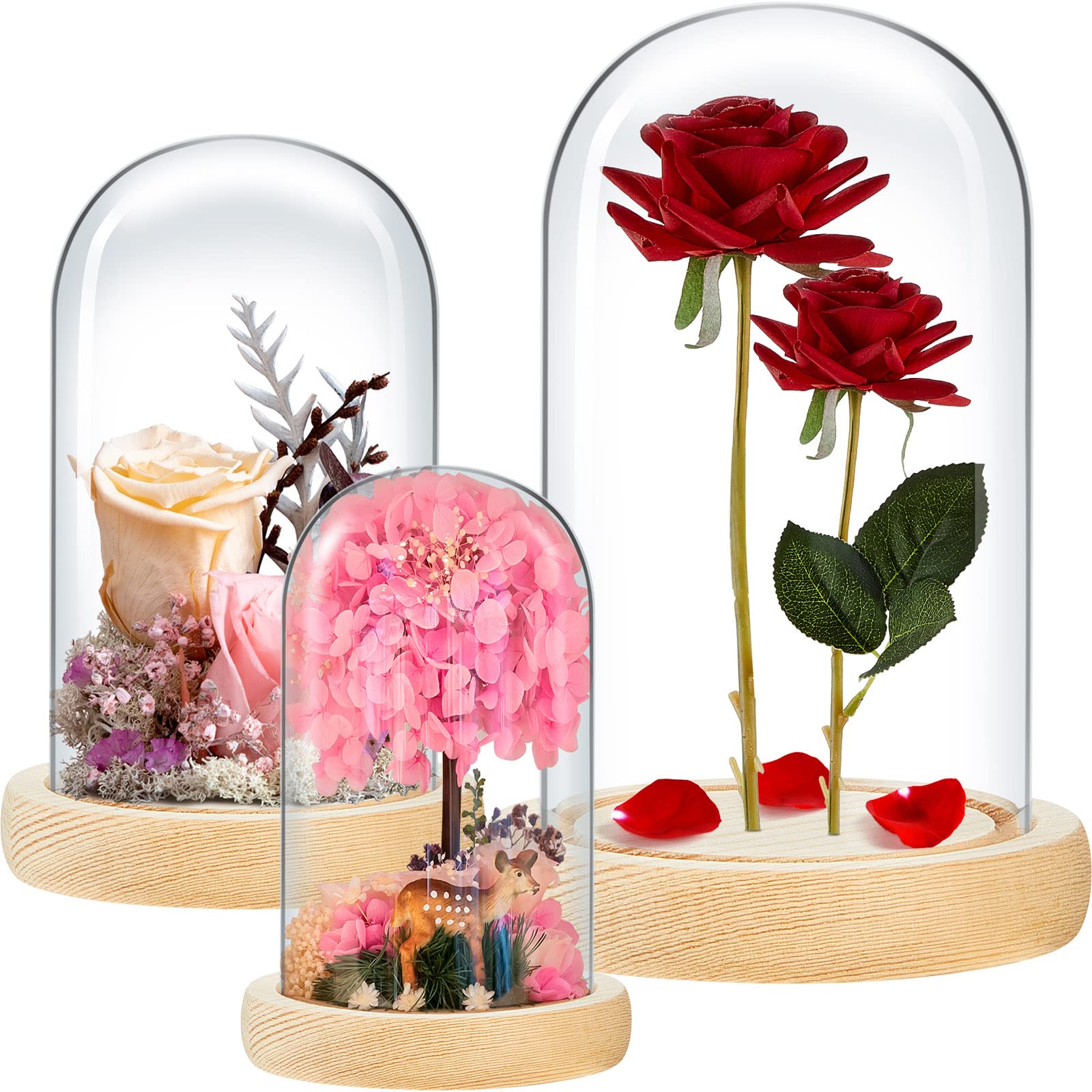 Glass_Cloche_Display_Domes.jpg