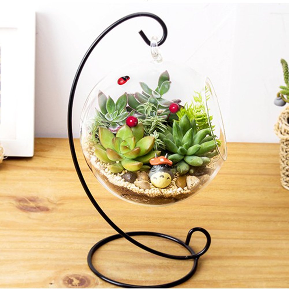 Glass_Terrariums_and_Succulent_Holders.jpg